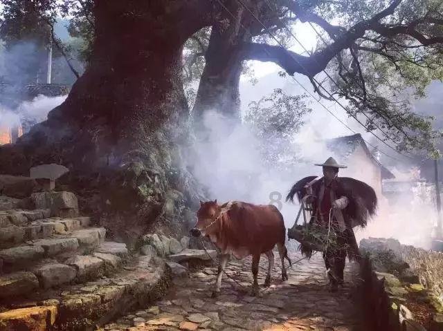 逃离黑与白的房间